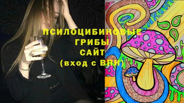 стаф Волоколамск