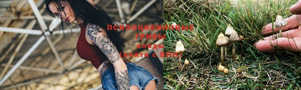 спайс Володарск