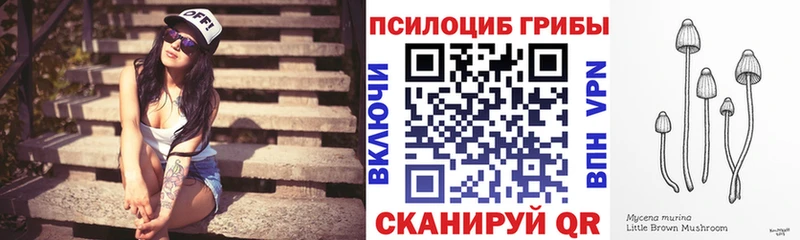 что такое   Зеленогорск  Галлюциногенные грибы мицелий 